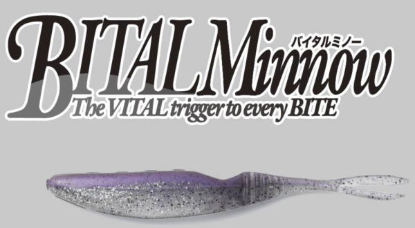 ����å��� �Х�����ߥΡ�5��