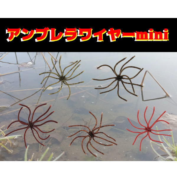 �쥤�� ����֥��磻�䡼�ߥ�