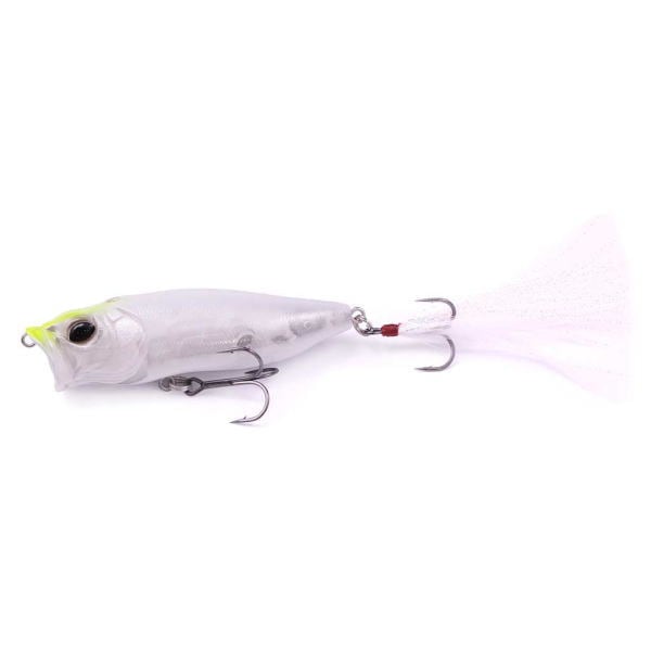 �ᥬ�Х� POPMAX ���ꥹ���륷��åɭ� �˥��顼