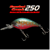 ���С����꡼�󡡥���Хåȥ����250