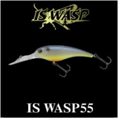 ���ޥ��ġ�IS�凉��55