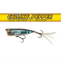 �ƥ��ॳ��������󥰥ڥåѡ�