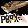 ᥬХPOP-X2012ǯ參顼