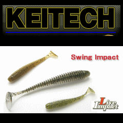 �����ƥå��������󥰥���ѥ���2�����