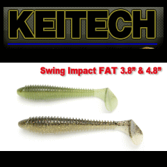 �����ƥå��������󥰥���ѥ���FAT 4.8�����