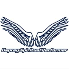 OSP �����󥰥��ƥå�����M������