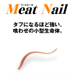 �������󡡥ߡ��ȥ͡��� 2.5�����