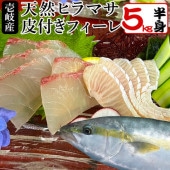 ヒラマサ 天然 5キロ 皮付フィーレ 壱岐産 5キロサイズ半身 北海道・沖縄は別途送料）【H】