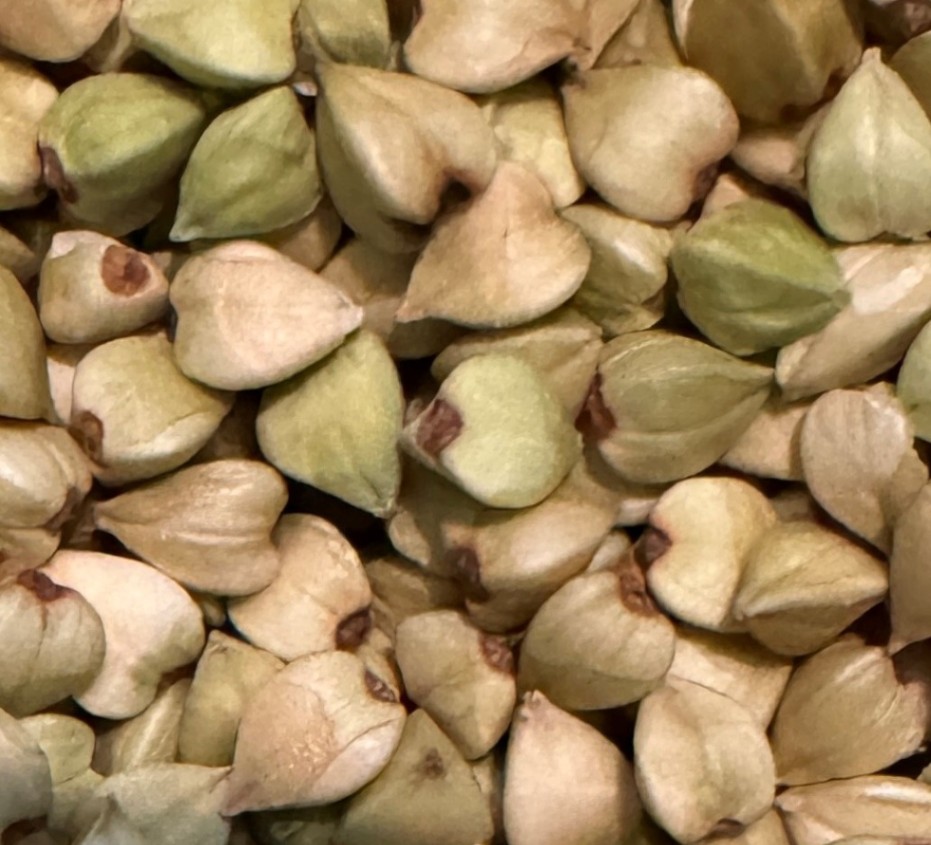 10kg 石川県加賀産 そばの実 丸抜き むき実