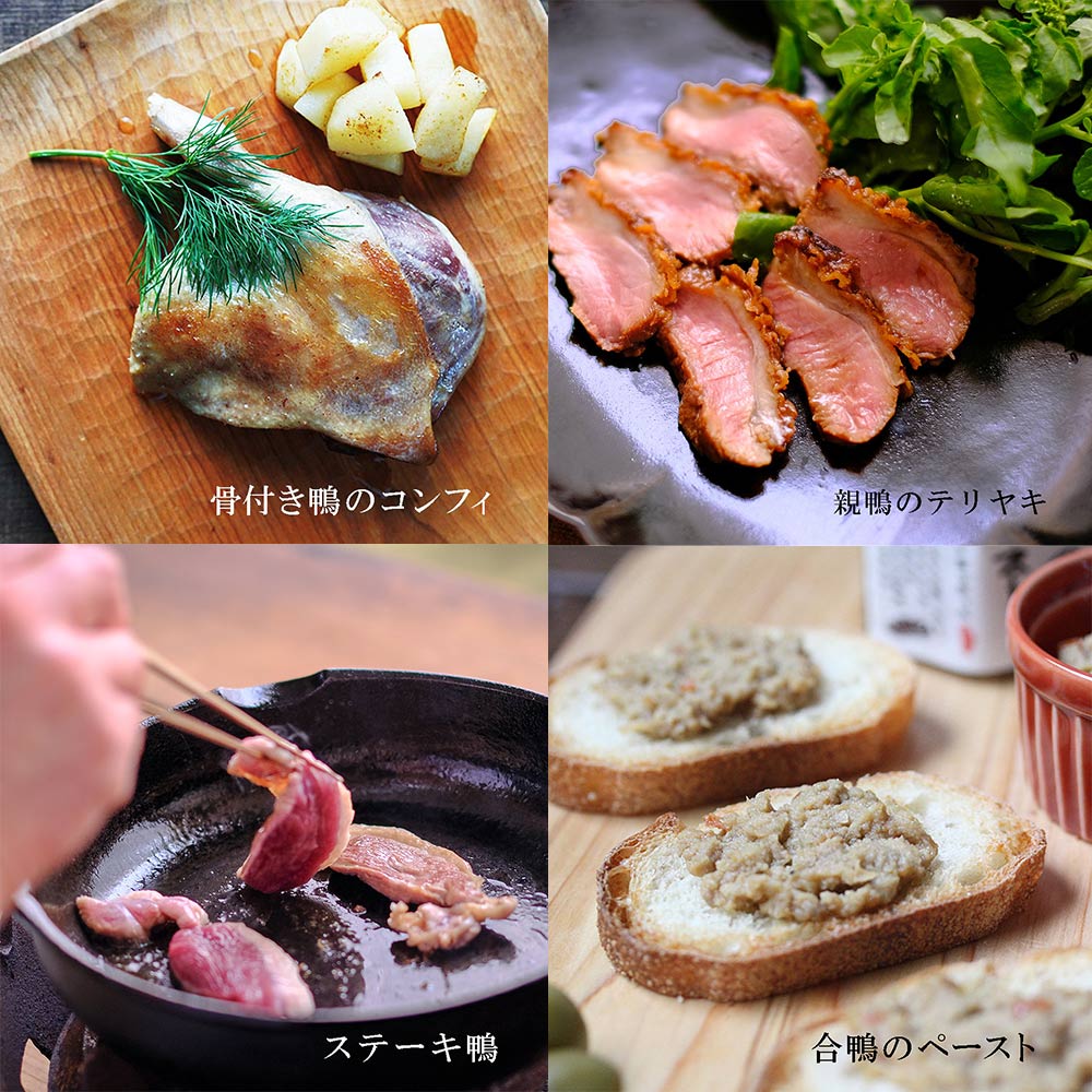 【 選べる定期便 】Ｃコース・奇数月（7・9・11）【冷凍】