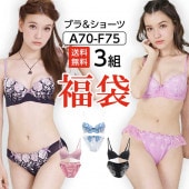 下着 レディース 福袋　セット送料無料 ブラジャー ショーツセット 3組 下着福袋 2022 2023 2024 2025 ブラショー ブラセット おまかせ 防災 まとめ買い happy bag|福袋