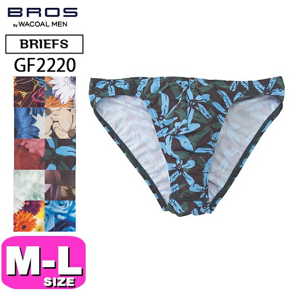 ワコール wacoal ブロス BROS GF2220 男性用 メンズ ブリーフ 前閉じタイプ ハイレッグ MLサイズ 父の日 敬老の日 プレゼント ラッピング ギフト バレンタイン EMI 2412