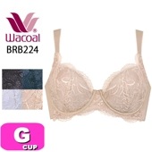 ワコール wacoal BRB224 ブラジャー 4/5カップ エバーシック Ever Chic 脇高 綿混 ぴったり フィット Gカップ WB|wacoal/ワコール|ブランド