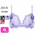 拾 wacoal 롼 salute BTJ484 84꡼ ֥饸㡼 3/4å VIVA LINE֥ Gå