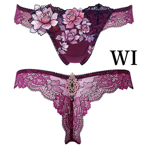 サルート salute 23 ワコール wacoal PTJ423 Tバック ショーツ ソング