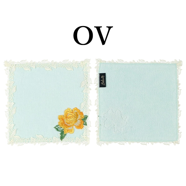 サルート salute 14 ワコール wacoal ZTJ114 タオルハンカチ Mサイズ