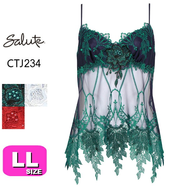 ワコール wacoal サルート salute メール便発送可 CTJ234 (34シリーズ