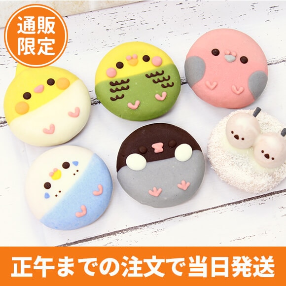 NEW】鳥ドーナツセット（6個入り） | どうぶつドーナツ | イクミママの