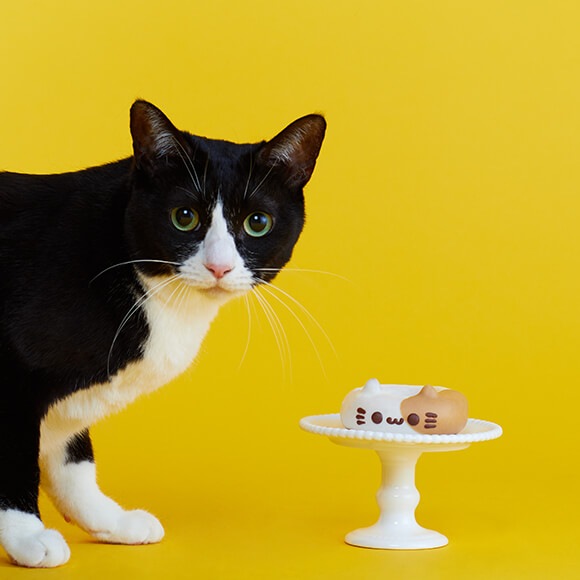 ねこの日スペシャルセット2026