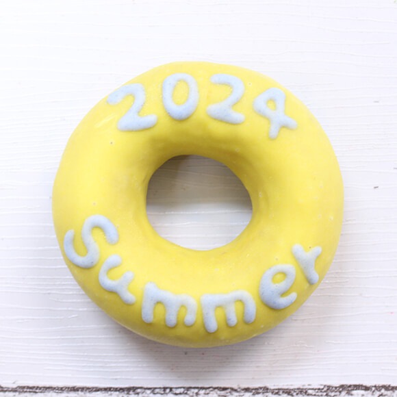 【お中元にも】夏の贈り物ドーナツセット2024（10個入り）