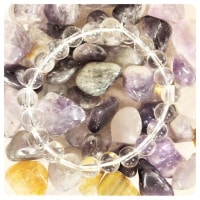 �ڥѥ���ȡ���ŷ���Сۥ֥쥹��å�12��