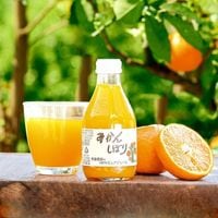 ピュア100%ジュース180ml 5種 【みかん・きよみ・しらぬい・はっさく・あまなつ】