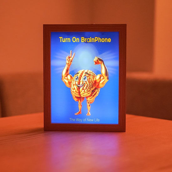 �ͥȥ�LED�۱�