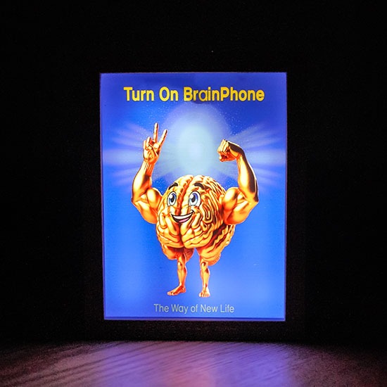 �ͥȥ�LED�۱�