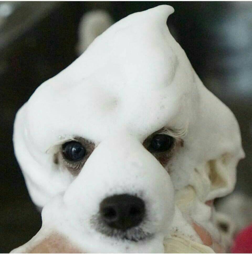 おためしセット】 泡パック | そとからケア | 【公式】アイレックス