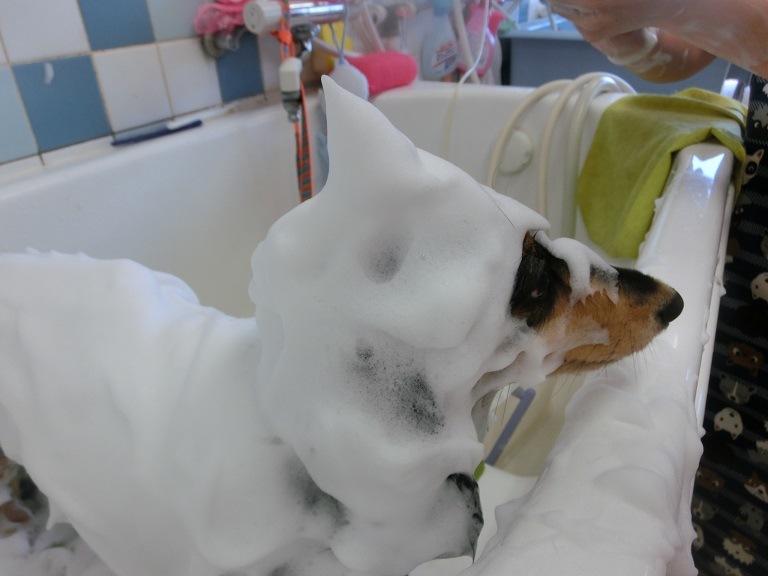 おためしセット】 泡パック | そとからケア | 【公式】アイレックス