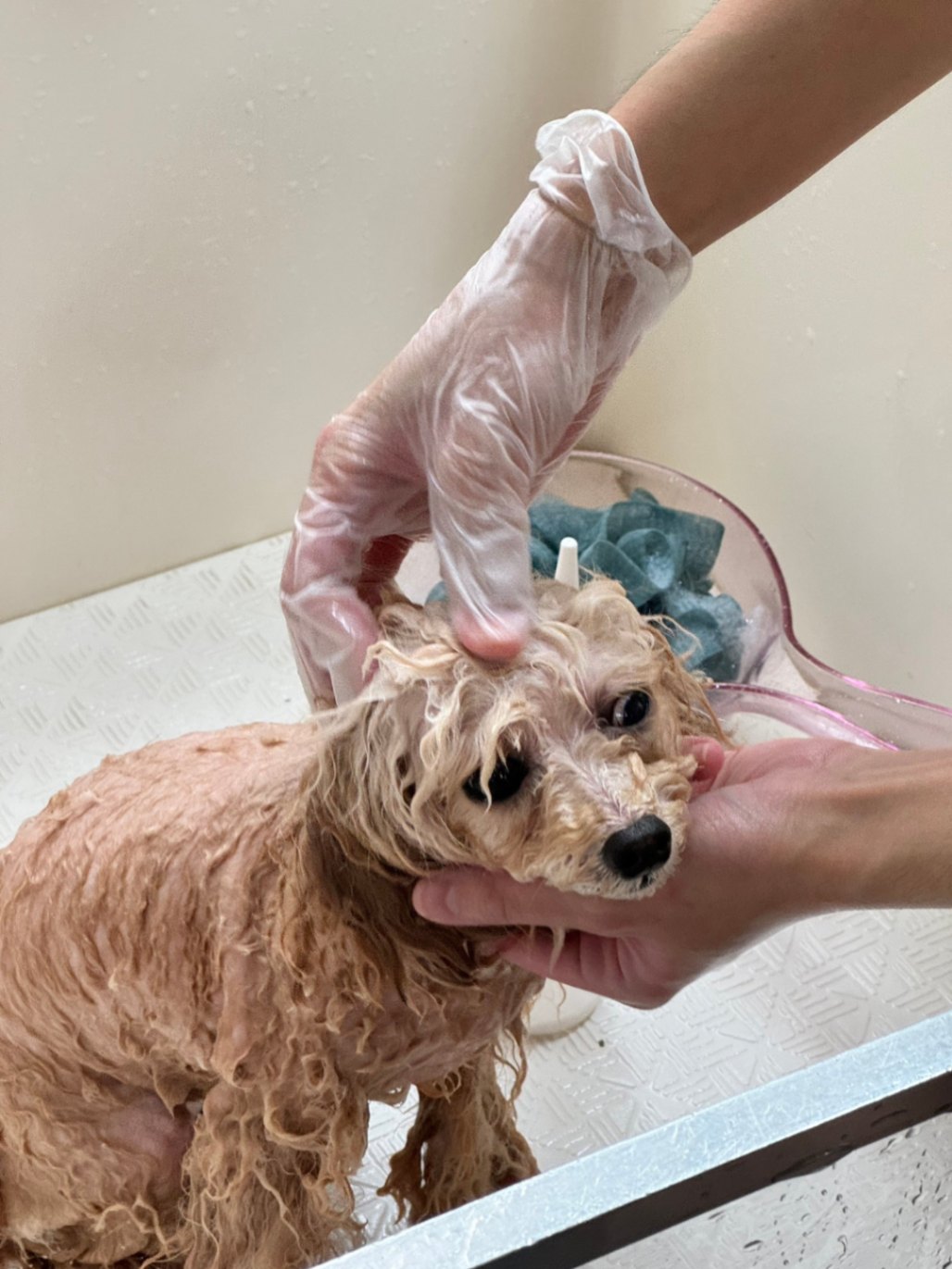 トーンアップクレイマスク 1kg | そとからケア | 【公式】アイレックス