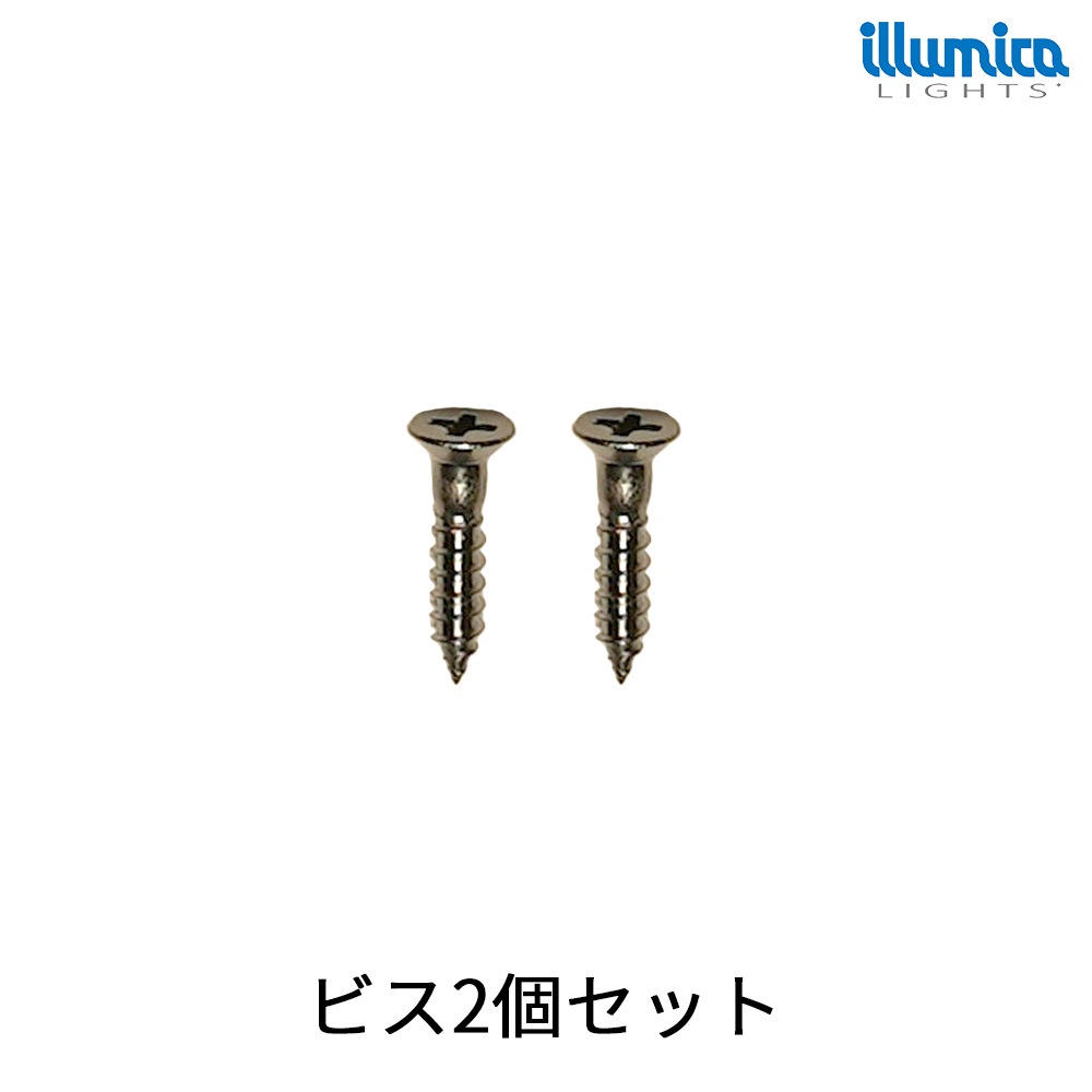 【2個セット】 ビス ネジ 3.1×16mm ステンレス製 皿頭 木ねじ [メール便対応可]