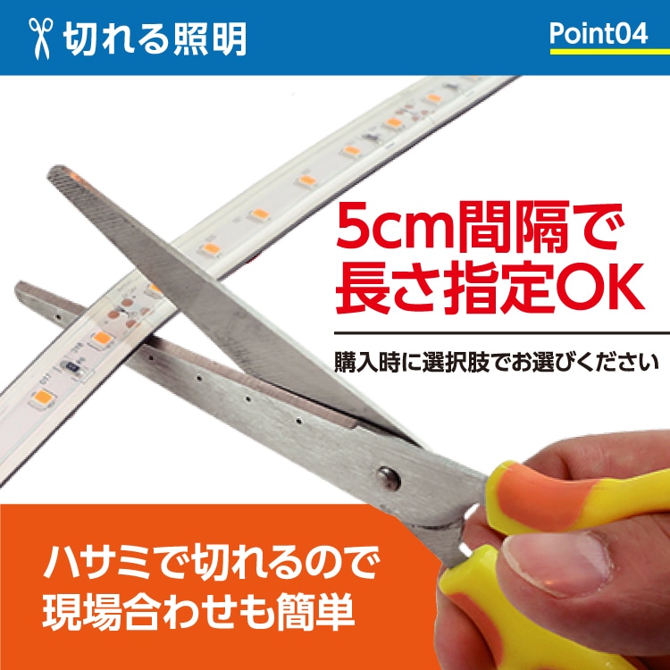 【業者様限定】 LEDテープライト ハイグレード60 サンプル 10cm DCジャック出し※電源別売