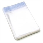 2521�����ꥹ����ѥå���100�������