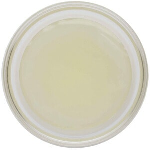 YK024M������ѥ���ɡ���������100g��* �ե��