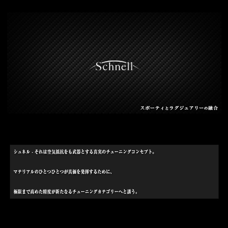 schnell】ポルシェ ボクスター 986 GT3RS カーボンリアウイング