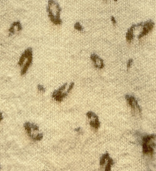 ��20��OFF�ա�CHIGNON/���˥����ӥ����쥪�ѡ���JQ�٥���(9454-072DP)�ڥ���󥻥����ʸ��Բġ�