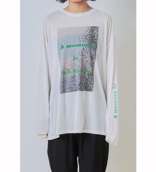 WHYTO. �ۥ磻�� 2way�������ץ��ȥ���T����� 2way sheer print long tee