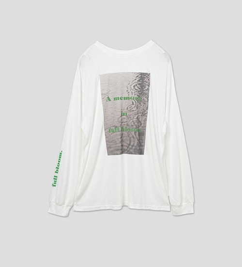 WHYTO. �ۥ磻�� 2way�������ץ��ȥ���T����� 2way sheer print long tee