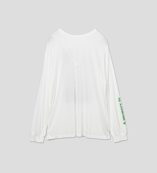 WHYTO. �ۥ磻�� 2way�������ץ��ȥ���T����� 2way sheer print long tee