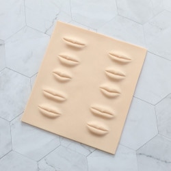 ��åץȥ졼�˥��ѥ����ȡ�1���