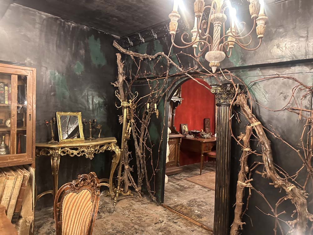 11/5(水)イマドキ平日撮影会