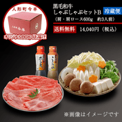 �Կͷ�Į��Ⱦ�չ����µ�����֤���֥��å�B(��3����)����¢�ء�