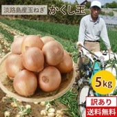 【訳あり】淡路島玉ねぎかくし玉5kg　＃訳ありかくし玉5kg＃|かくし玉
