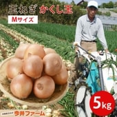 淡路島玉ねぎ＃かくし玉 5kg Ｍサイズ＃|かくし玉
