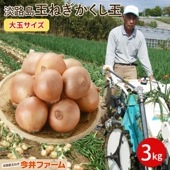 淡路島玉ねぎかくし玉 3kg 大玉サイズ 　＃かくし玉3ｋｇ（2Ｌ）＃|かくし玉