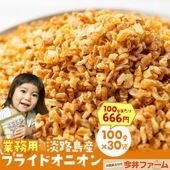 ＃淡路島フライドオニオン100ｇ×30袋＃