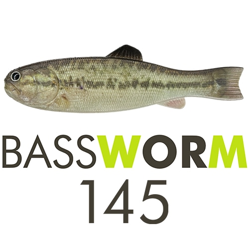 イマカツ バスワーム バスワーム145 バスワーム145 (エコ対応品) | ソフトルアー,フラット