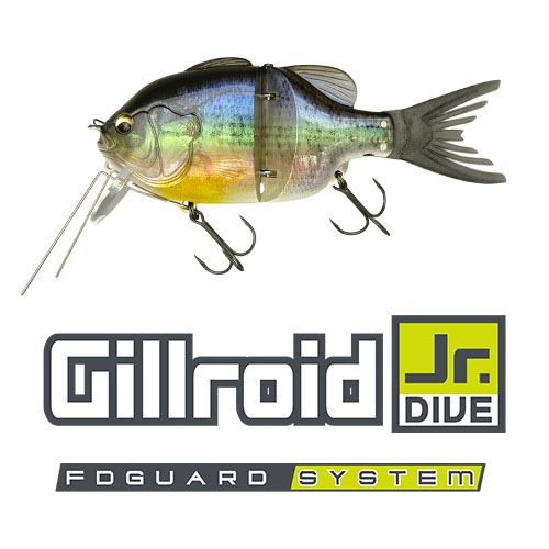 ���������Jr. DIVE