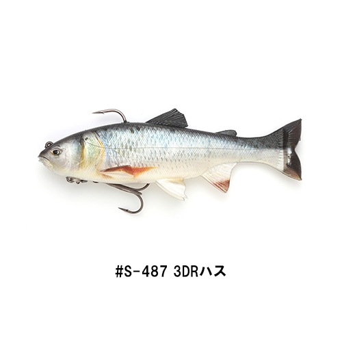 �쥤���������ޡ� (�����б���)